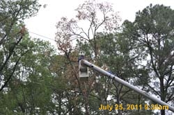 Entergy 092